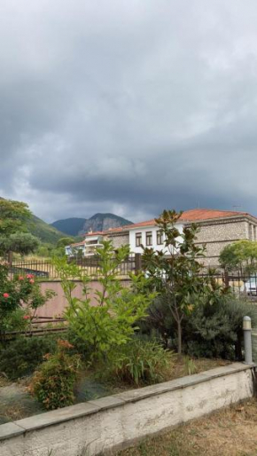 Litochoro View
